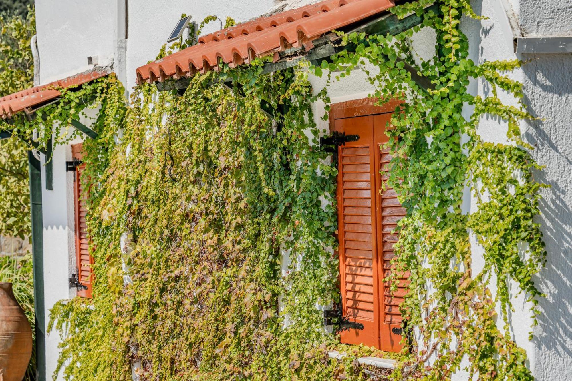 Athina Villas อิสตรอน ภายนอก รูปภาพ