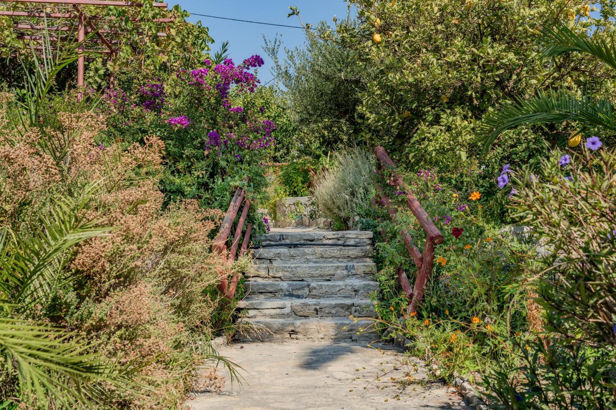 Athina Villas อิสตรอน ภายนอก รูปภาพ