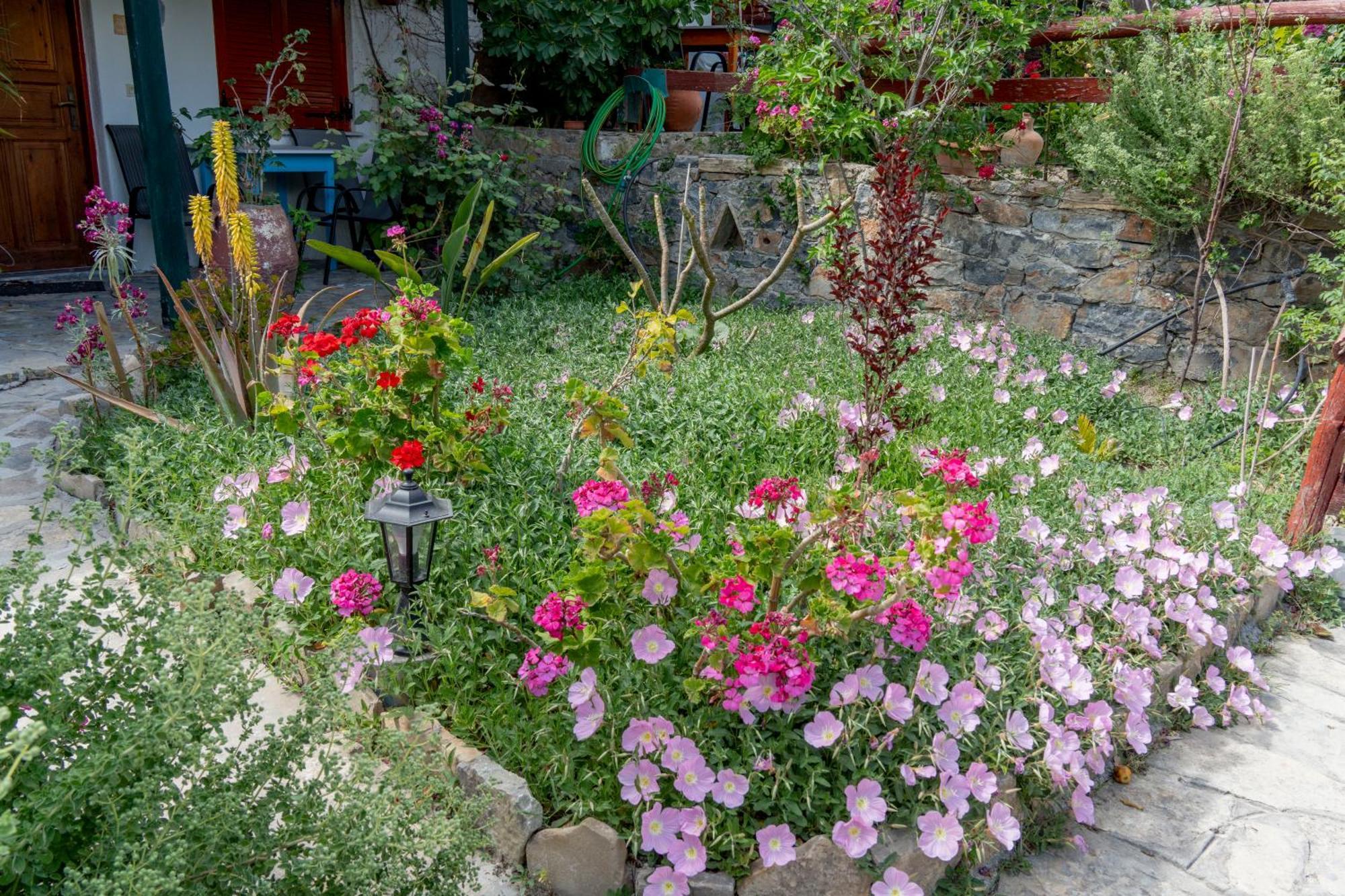 Athina Villas อิสตรอน ภายนอก รูปภาพ